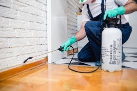 Best Fumigation Services  in Mount Arlington, NJ